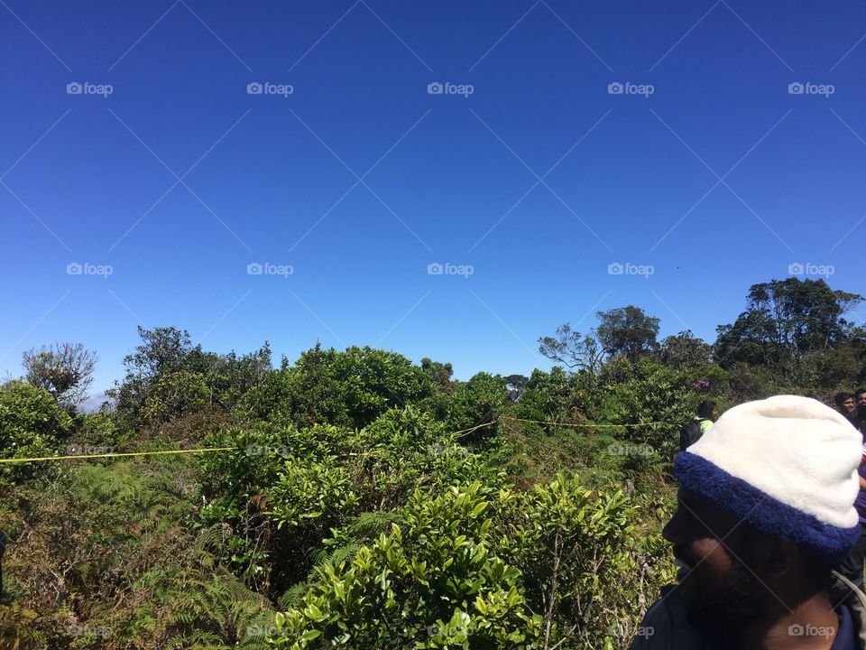 Forest in badulla,high rain fall area