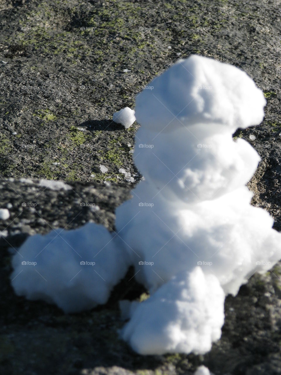 make a toy with snow