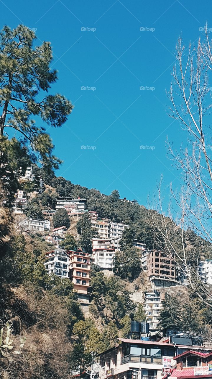 Liked this view of the houses constructed on a hill.