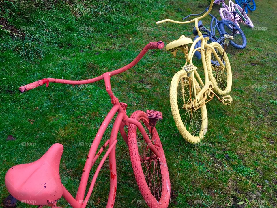 Colorful bicycle in the grass