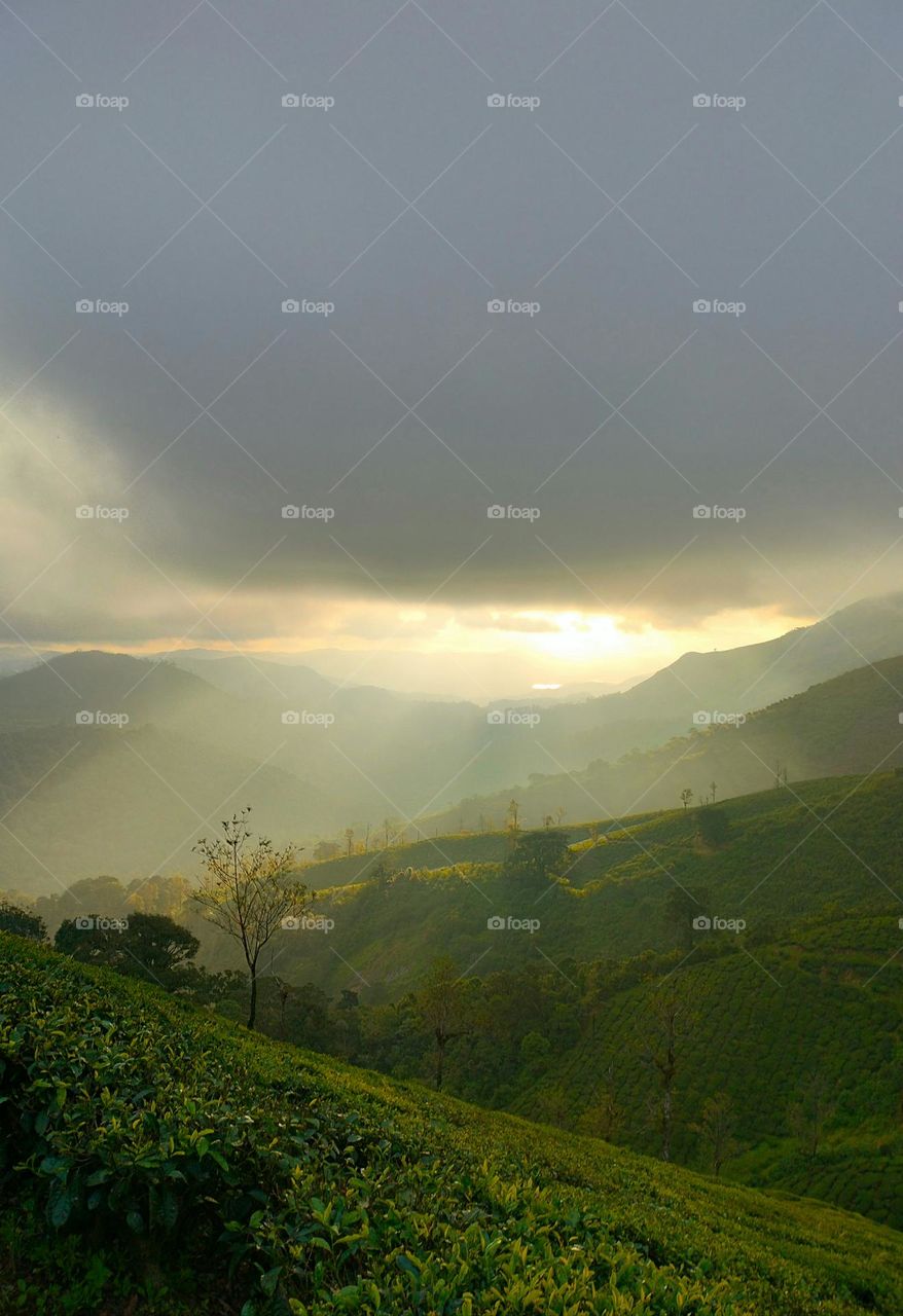 “I go to nature to be soothed and healed, and to have my senses put in order.”