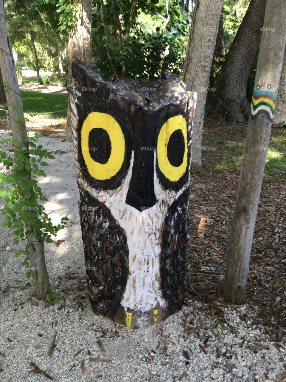 Owl art at the Fountain of Youth in Florida 