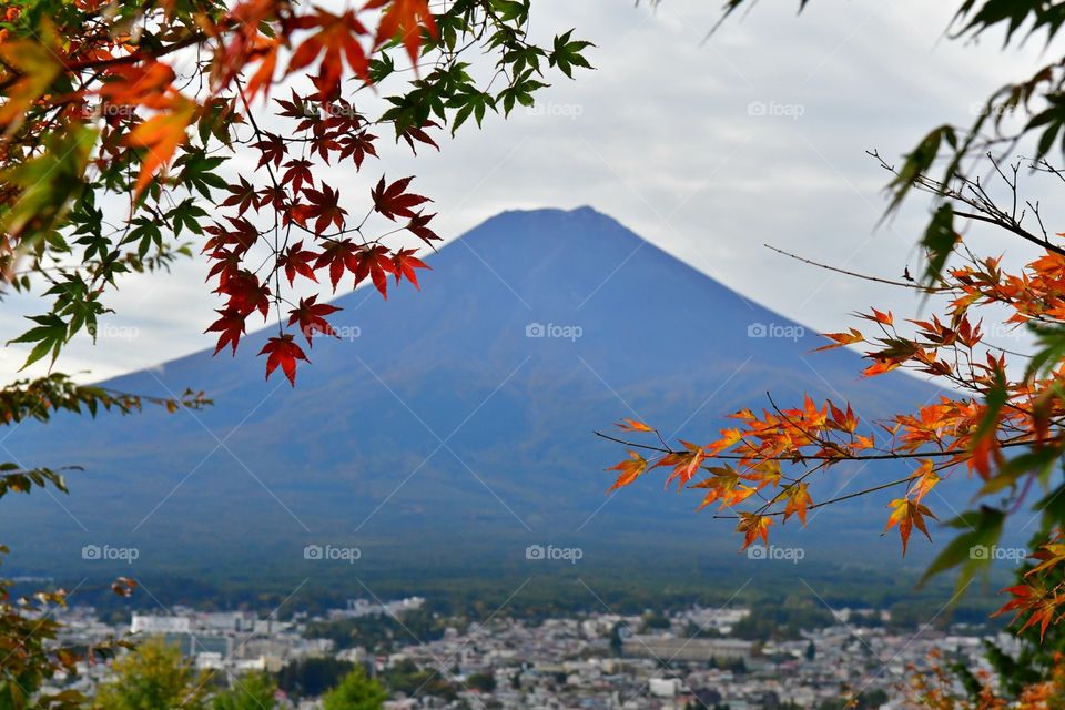 Beautiful mount Fuji