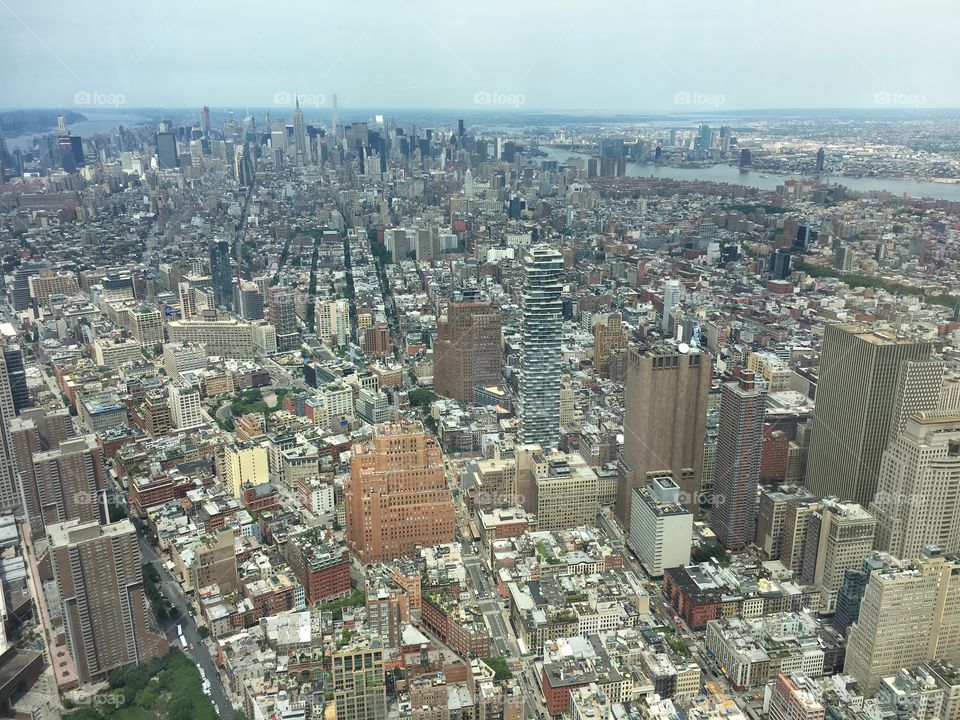 View from Freedom Tower
