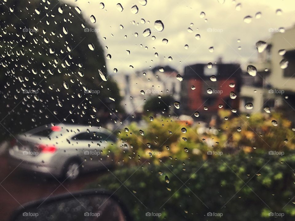 Rainy days in San Francisco, driving down Lombard Street 