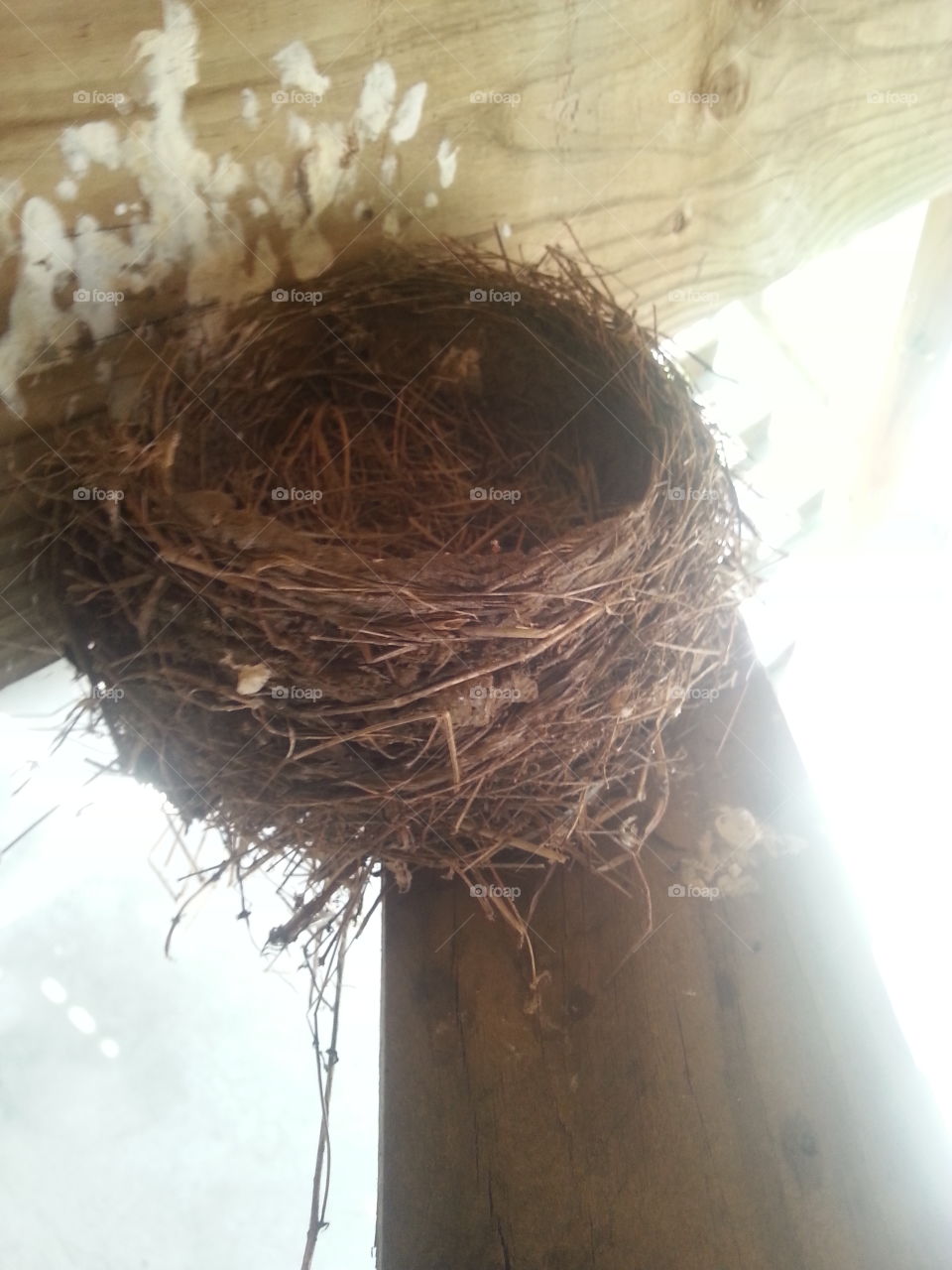 Empty Nest Syndrome. yep, I had it once I discovered the babies flew away