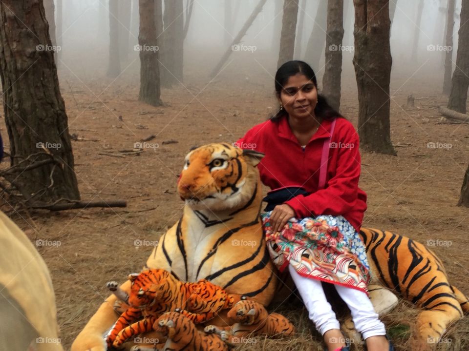 Tiger vs girl 