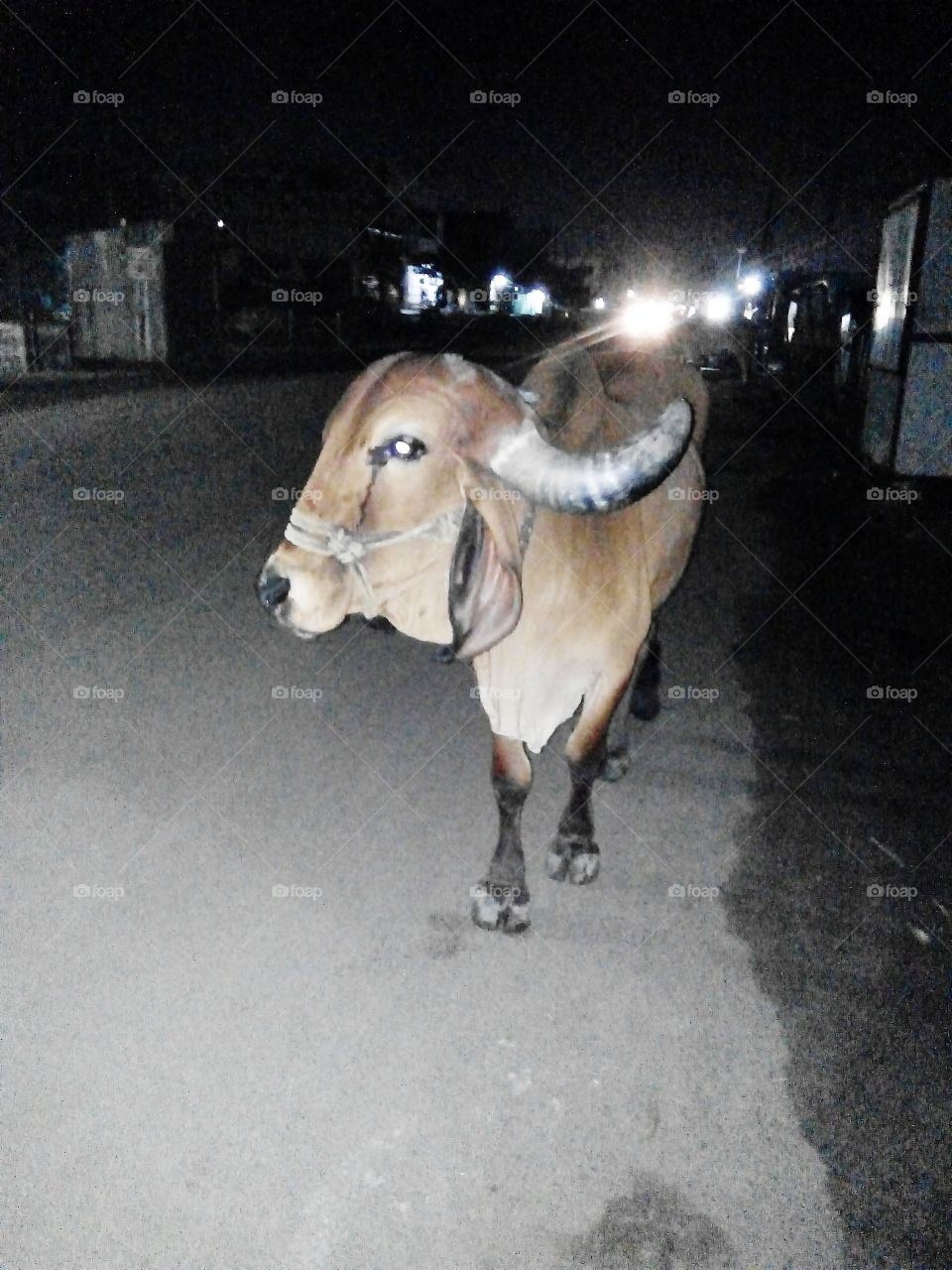 A great photo,a photo for everyone,a memorable photo,a no. photo,a photo to cherish,a beautiful photo,a great photo for the best people,an evergreen photo,a photo to remember for years,the best result of great photography