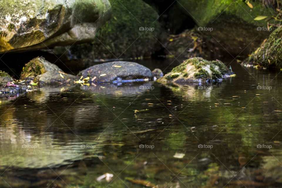 Walking through the mountains, found a river