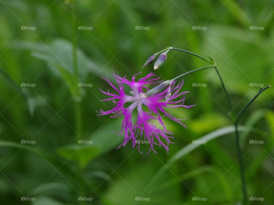 Красоты Кузбасса