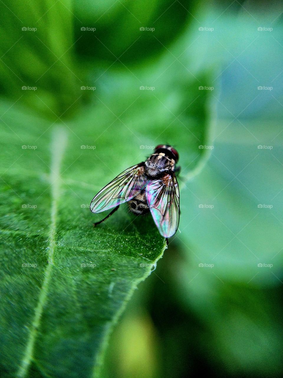 best of 2021: portraits