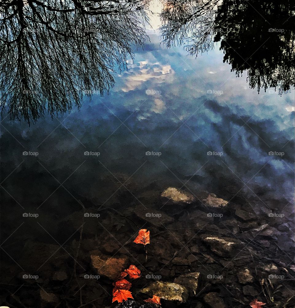 Reflections on a pond