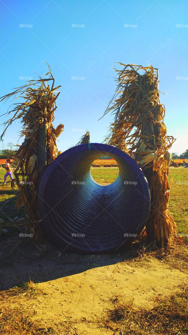 Harvest Tube