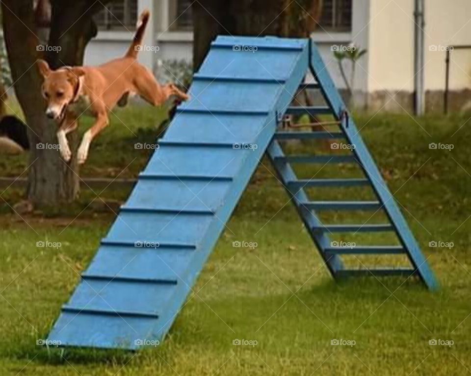 Jumping on slides .. funny moments 