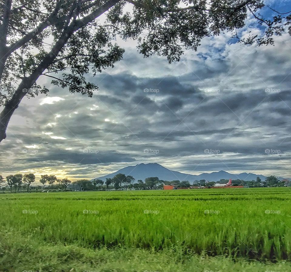 Mountain view pictures.