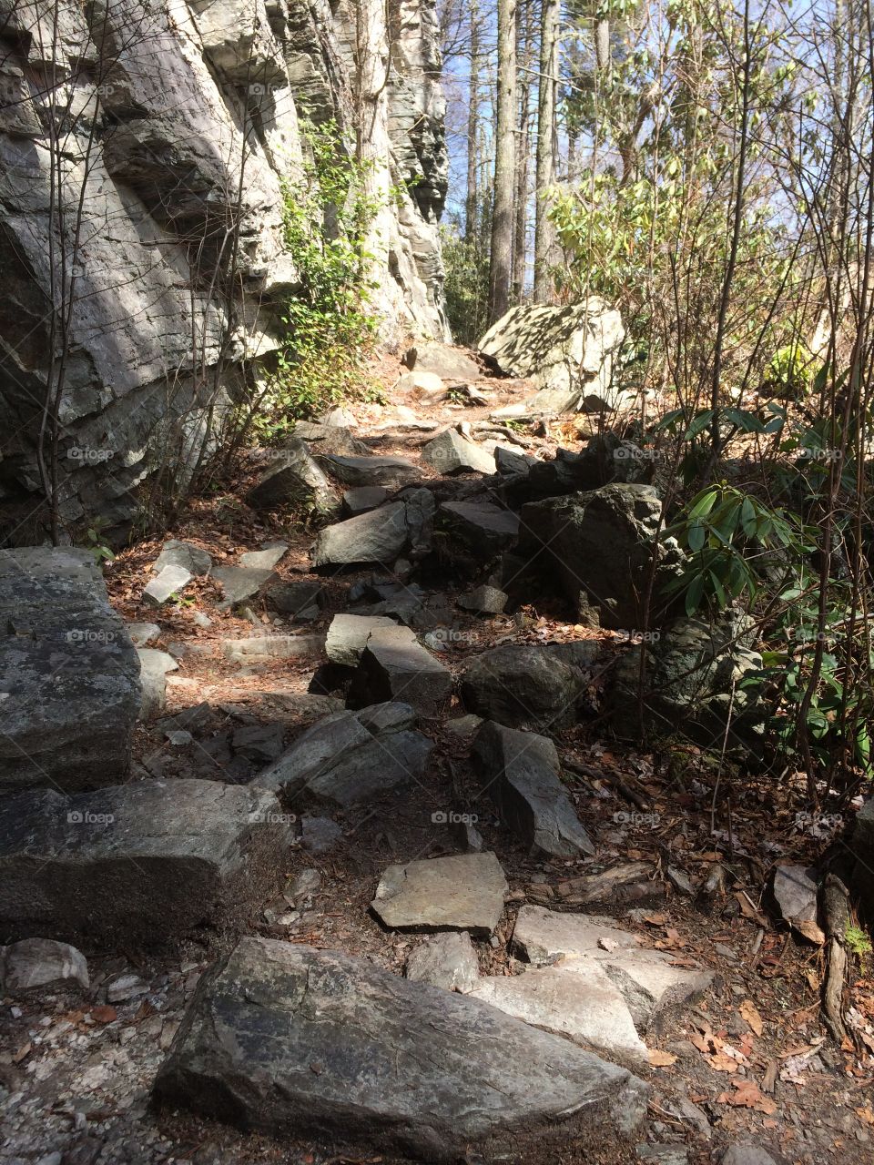 Mountain footpath 