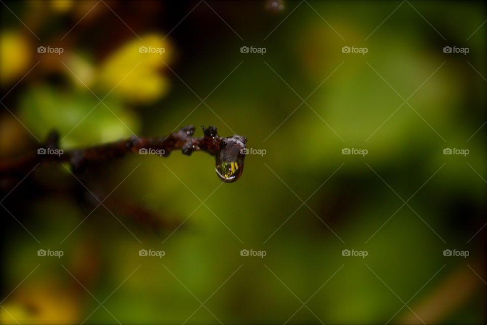 Drop