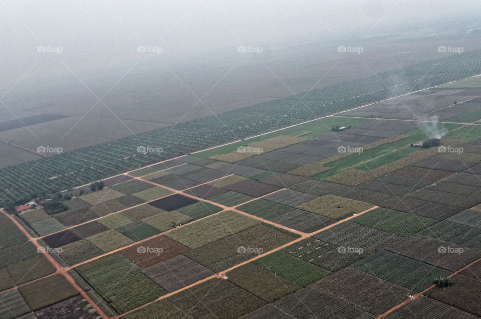 Mixed crops farmland creating a patchwork quilt