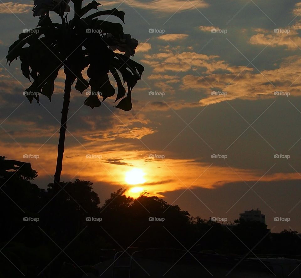 Silhouette at sunset