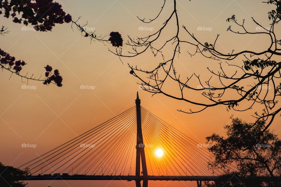 Variety scene of Bhumibol Bridge , Bangkok Thailand