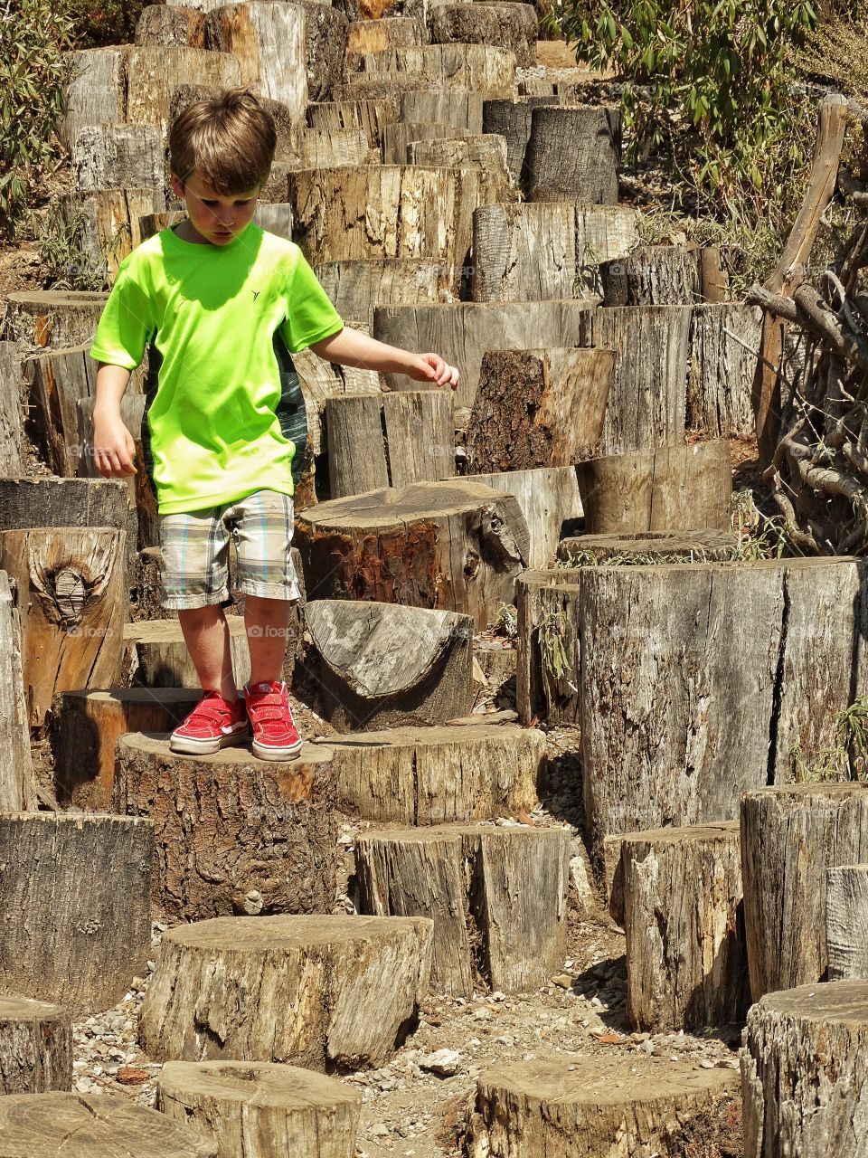 Boy Climbing Wooden Staircase. Natural Staircase Made Out Of Tree Stumps
