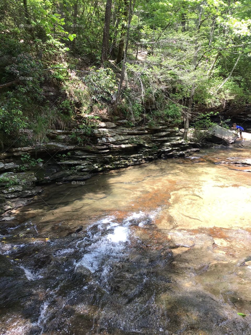 Nice stream in the mountains 