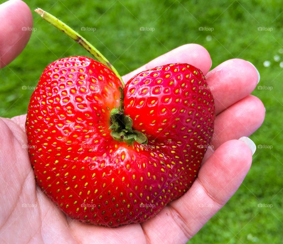 Close-up of a person holding heart shaped strawberry