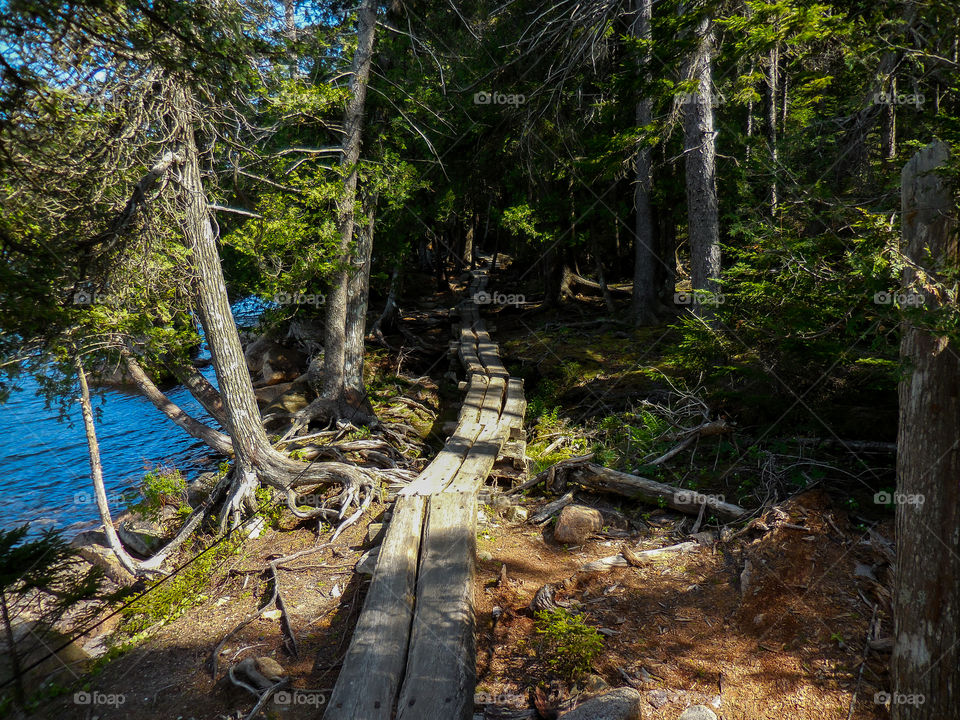 Boardwalk trail on Jordan Pond