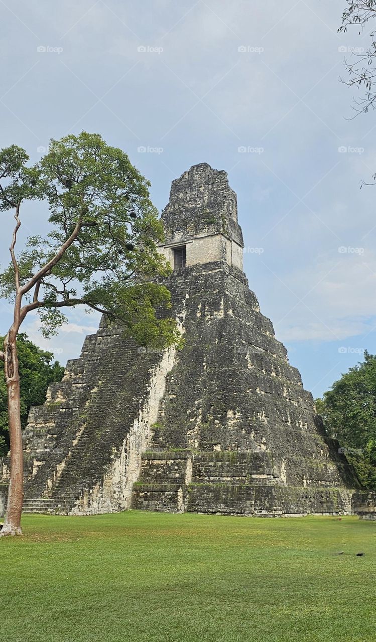 temple du Jaguar Tikal