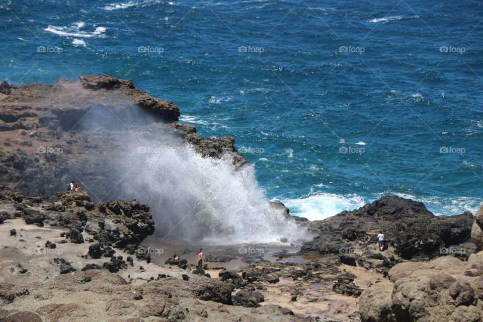 Blowing  hole - water comes out of it with great power and sucks in everything nearby- don’t go too close 😉