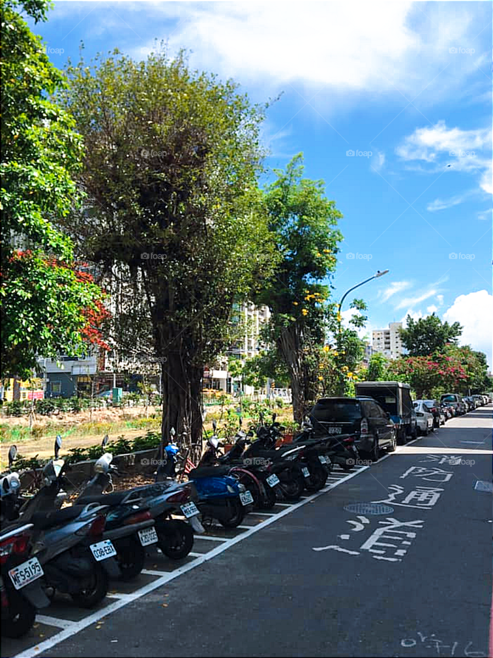 A Sunny Day on the Street