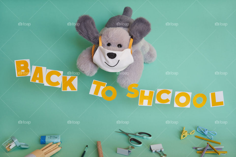 Soft toy dog in a safety face mask and “back to school” letters. 