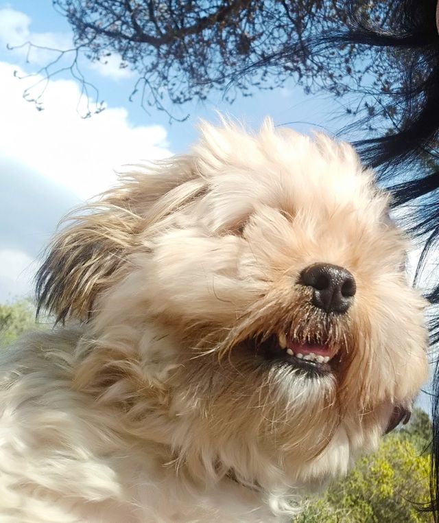 frida no filters