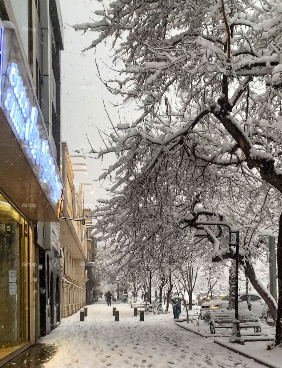 Fall like snow, but slowly and silently❄️
Let's spend the winter moments happily,
 I'm sure you know that spring will rise
 on time🤍🤍🤍