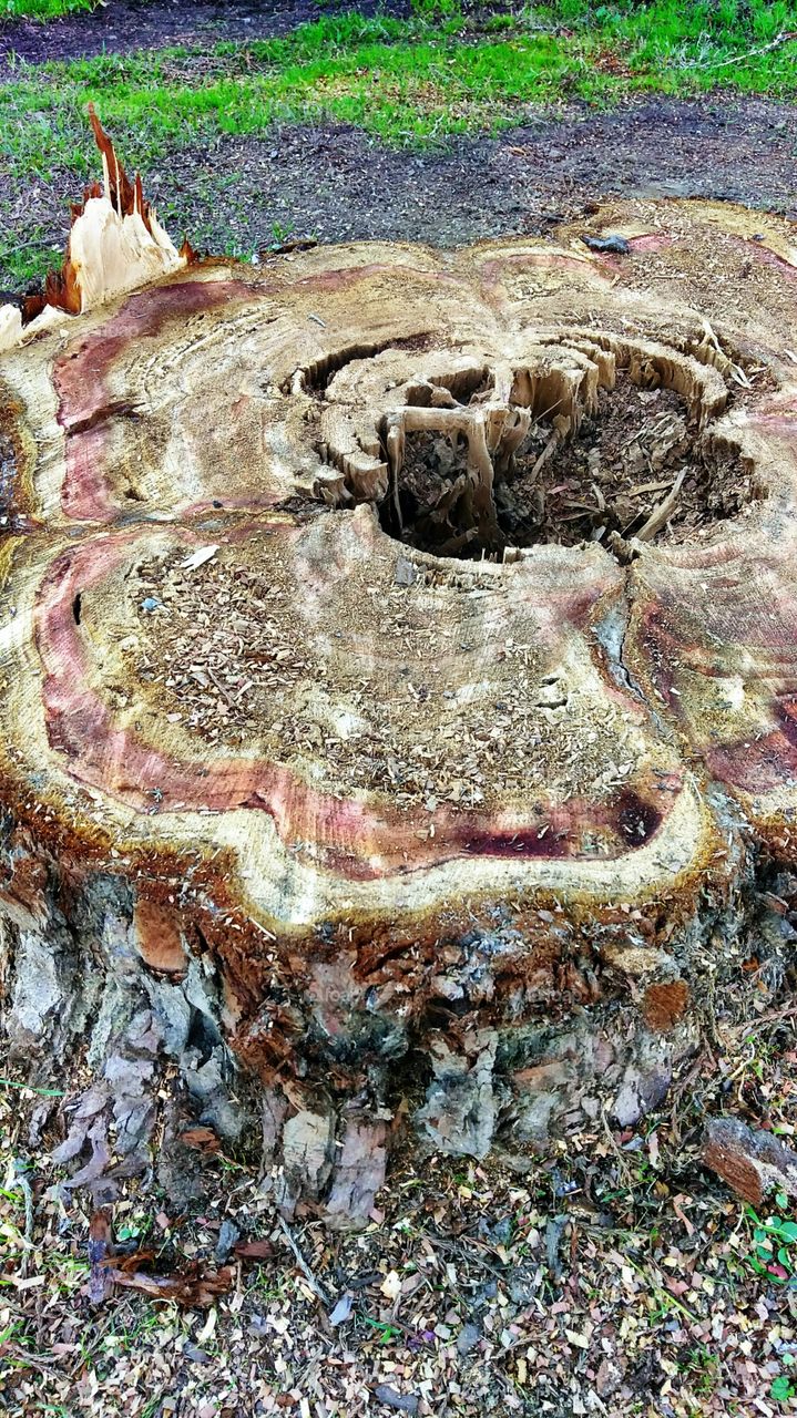 Nature, No Person, Desktop, Old, Water