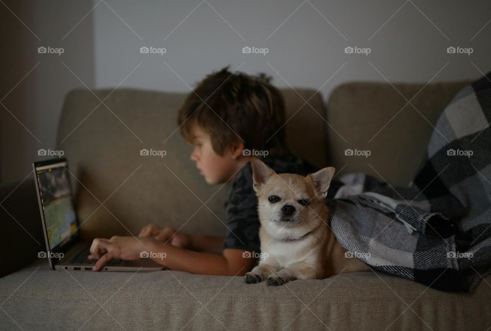 Cutest boys, kid and pet