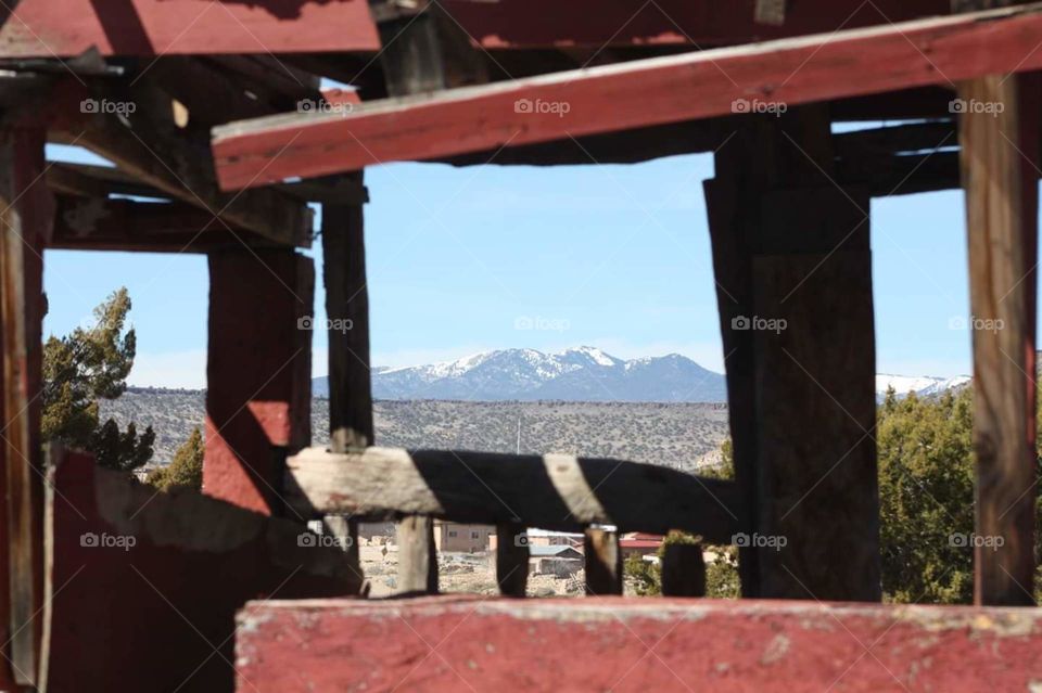 Looking thru the window