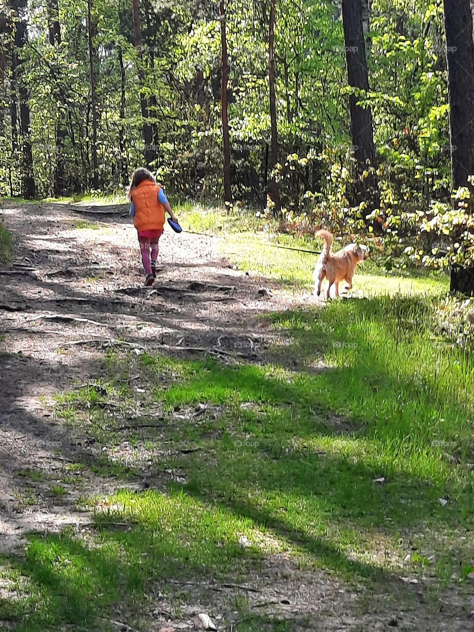 litlle girl walking a dog