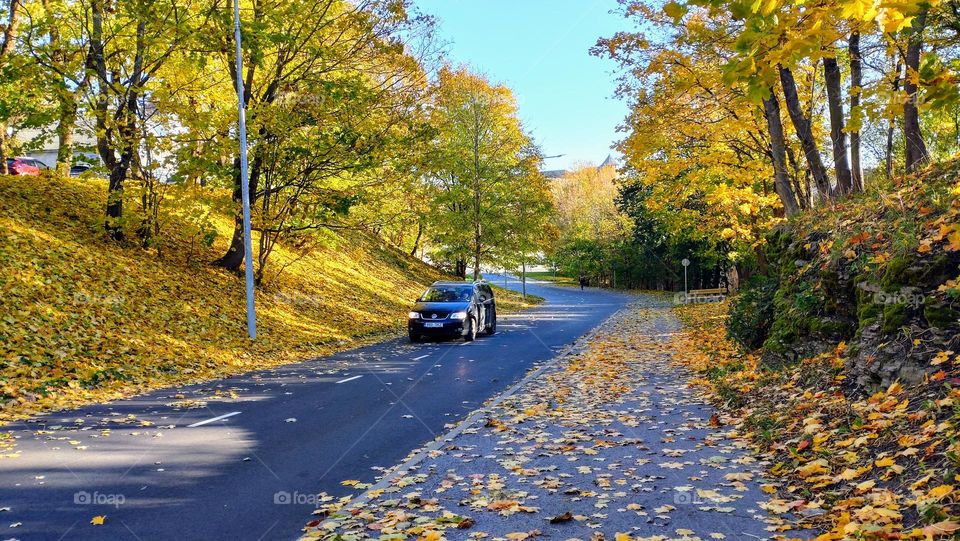 Fall Time 🍂🍁 Autumn road🍂🍁 Outdoor 🍂🍁