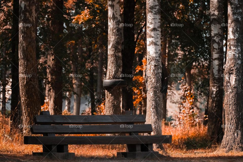 Wooden shop in the city park at the autumn time