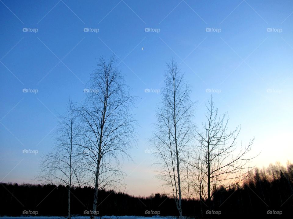 new month in the sky