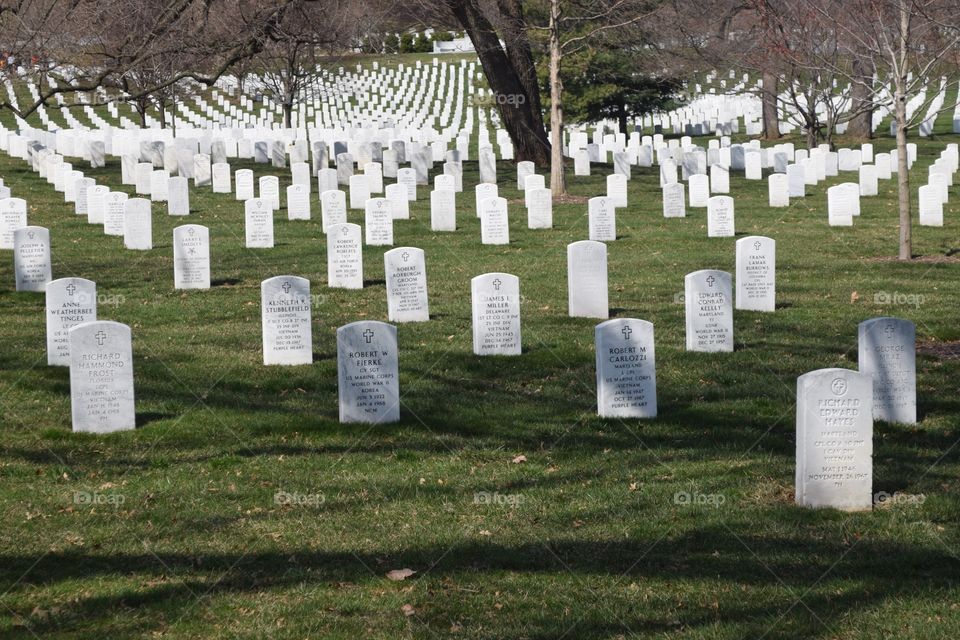 Graveyard . A graveyard in Washington DC 
