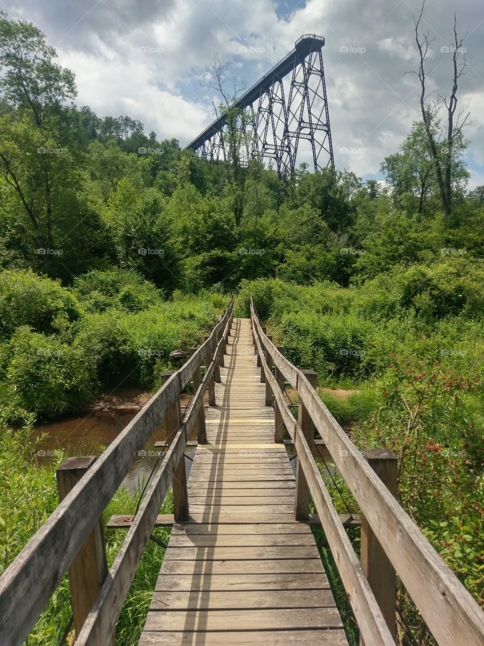 Kinzua Bridge State Park, PA