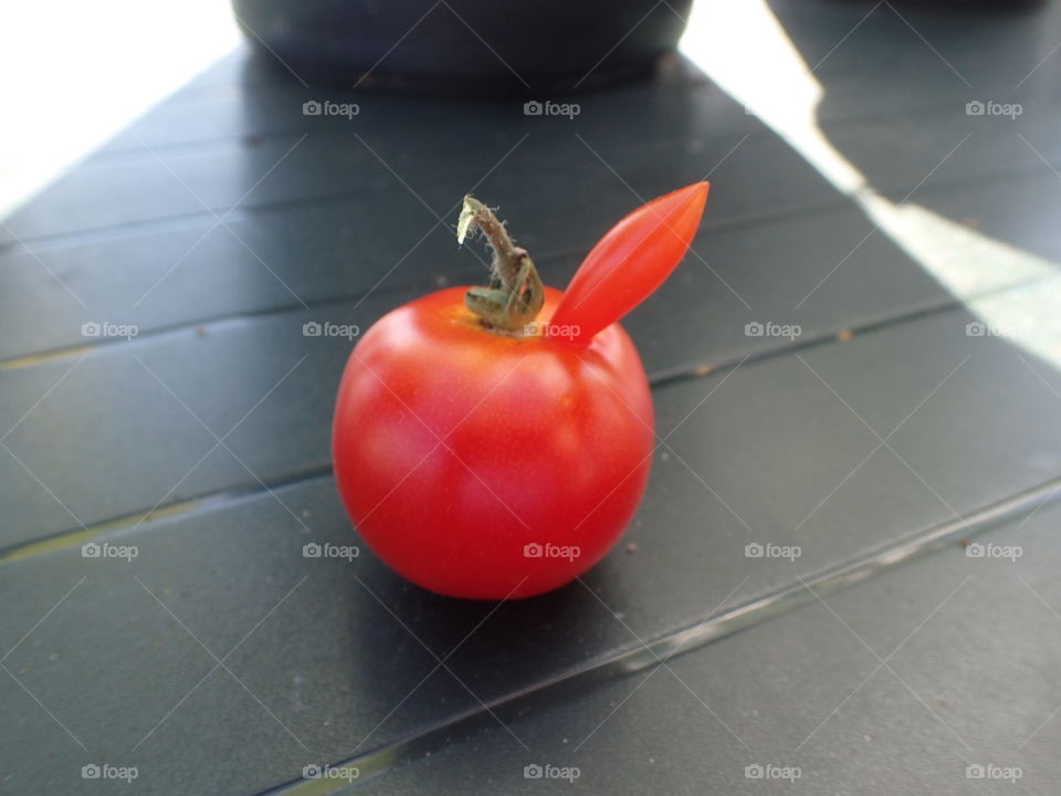 Tomato. From My garden 