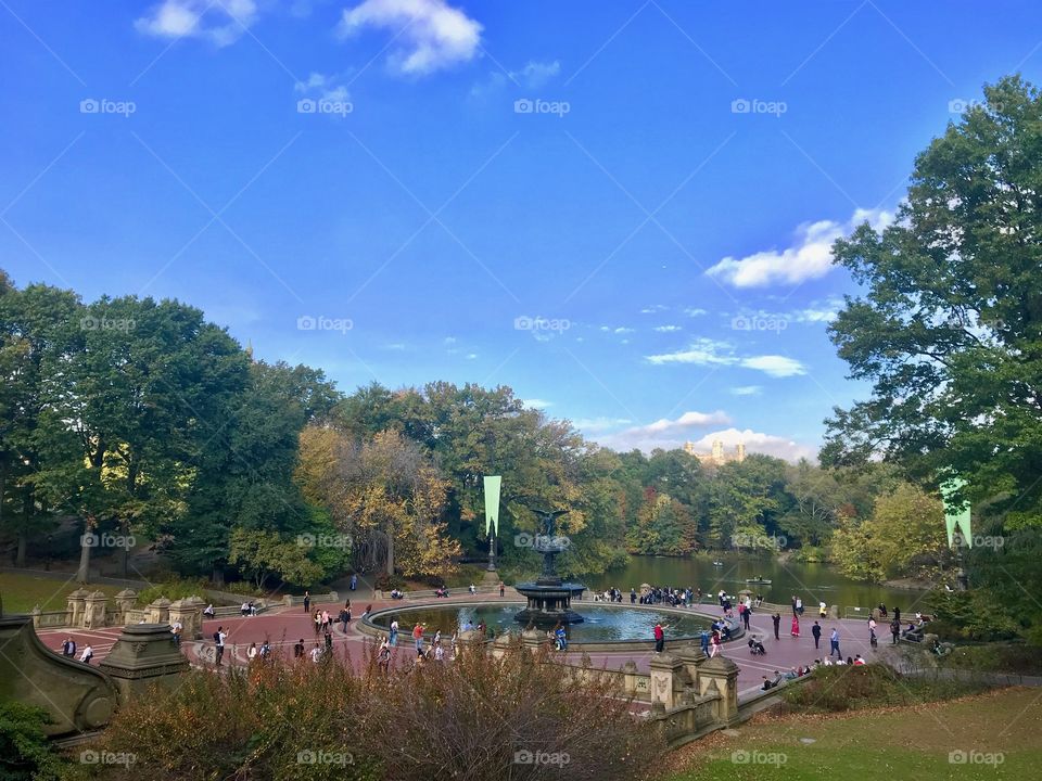 Fontaine in Central Park, NYC