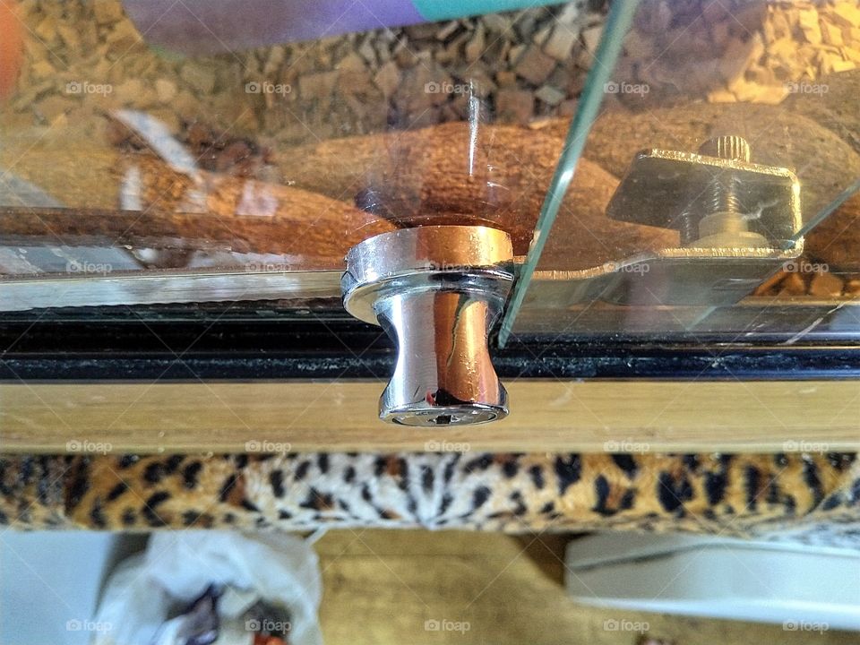 lock for one of my snake tank