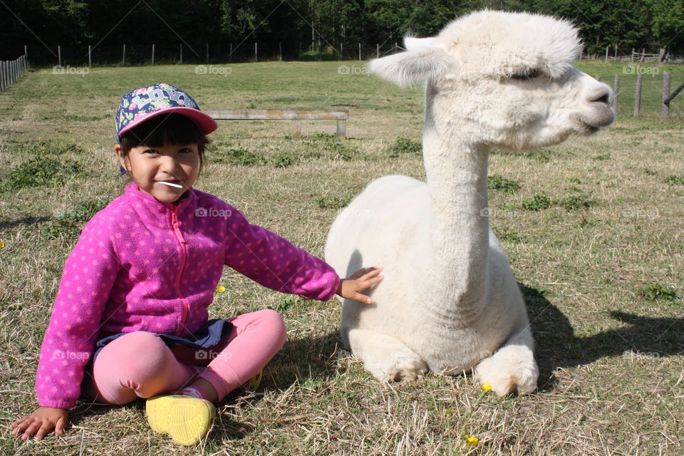 Girl with alpaca