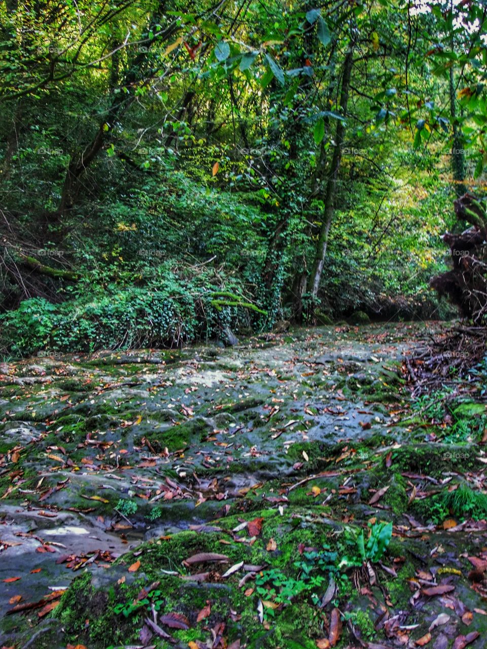 Autumn in Turkey, Harmankaya