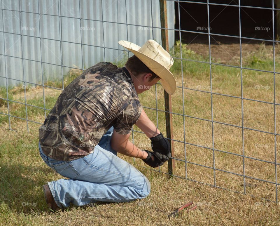 Young cowboy working on lamb pen fence. 