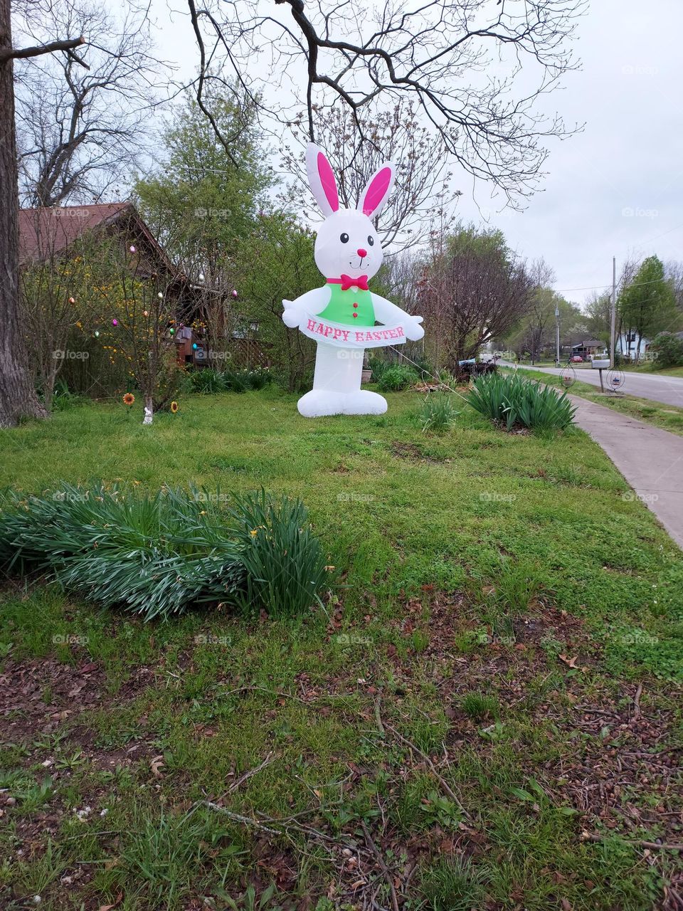 the Easter bunny made it to this house yesterday celebrating the risen Christ!